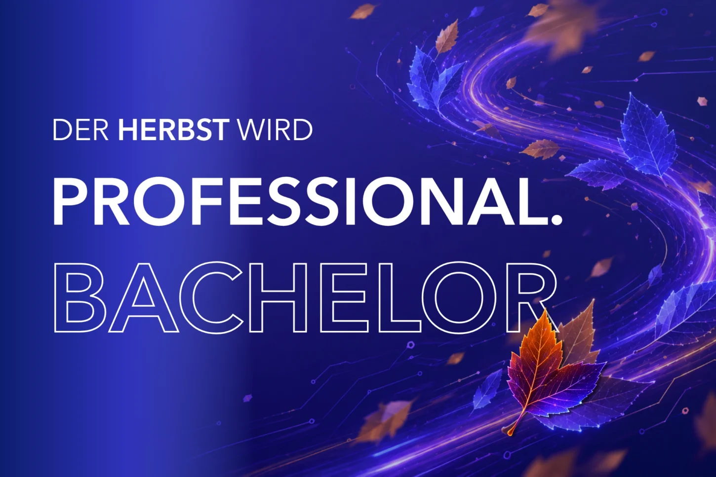 Professional Bachelor bei Inovatech – neue Titelzusätze für HF-Abschlüsse